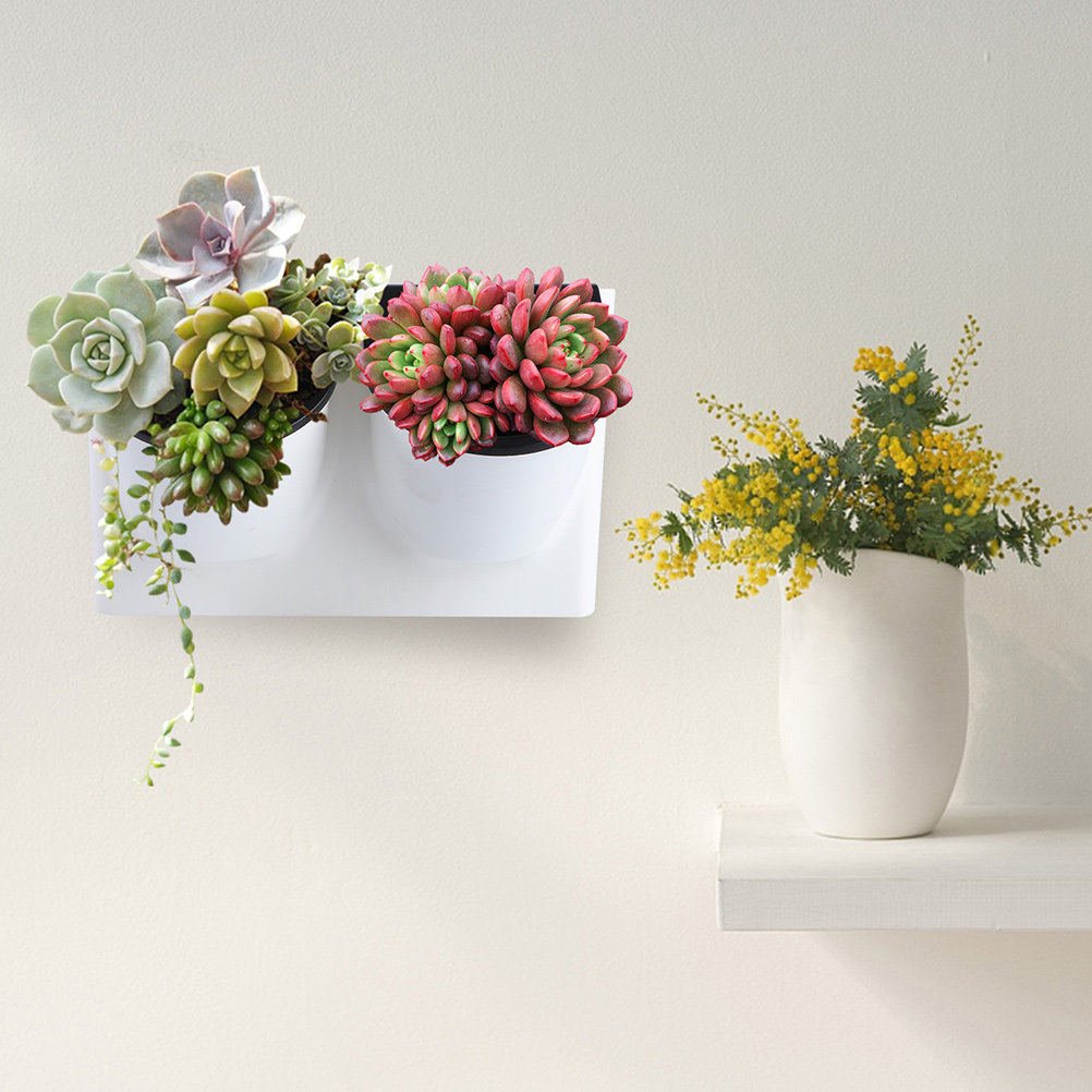 Self Watering Planter - 자가 급수 화분 플라스틱 바이올렛 화분