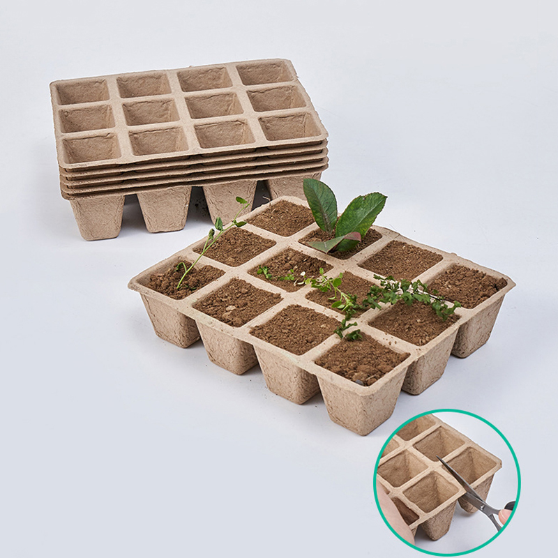 Seed Starter Tray - 5Pcs 12 홀 식물 보육 트레이