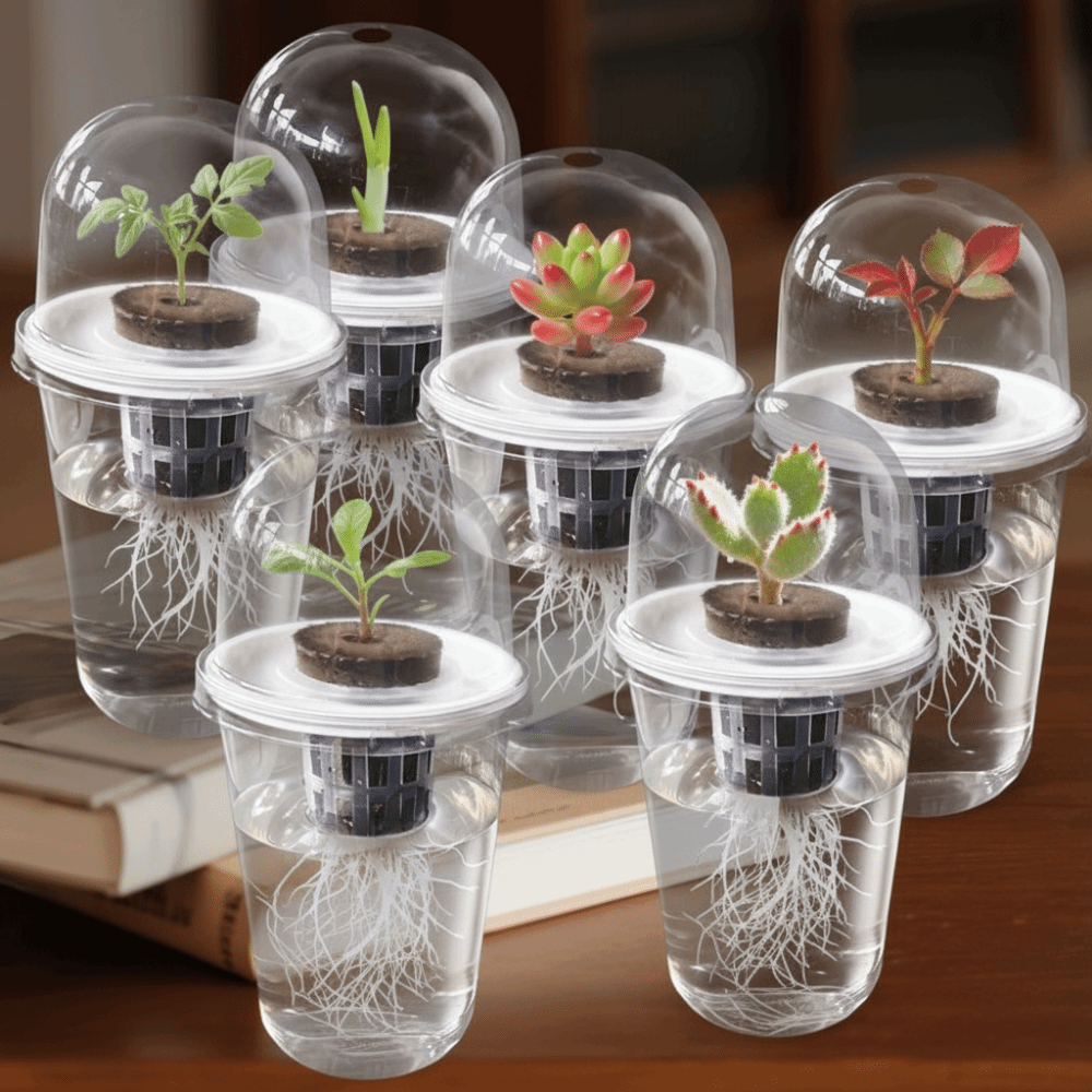 Seed Starter Tray - 1-5개 투명 식물 발아컵 수경 재배