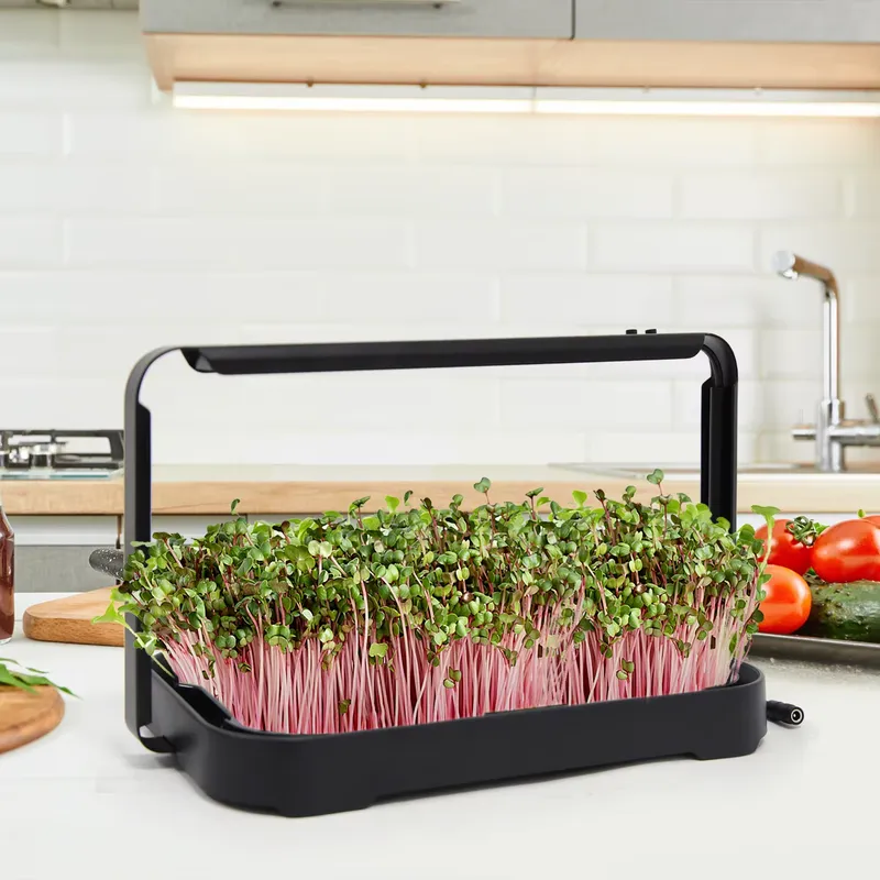 Hydroponic Kit - 수경재배 트레이 실내 마이크로그린 씨앗 새싹