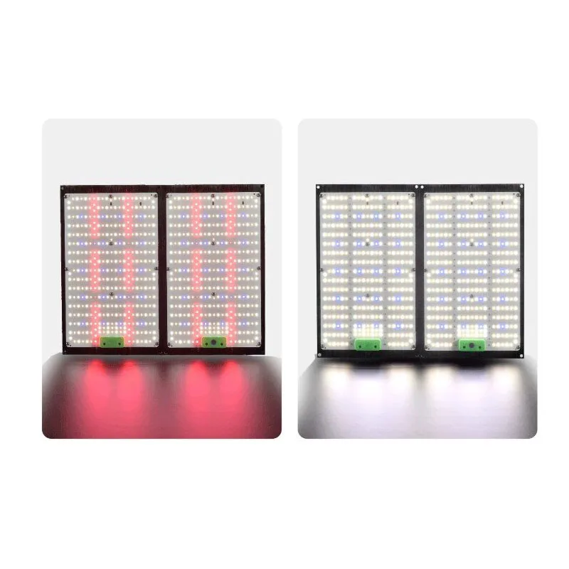 Grow Light Led - LED 퀀텀보드 식물 재배 조명, 실내