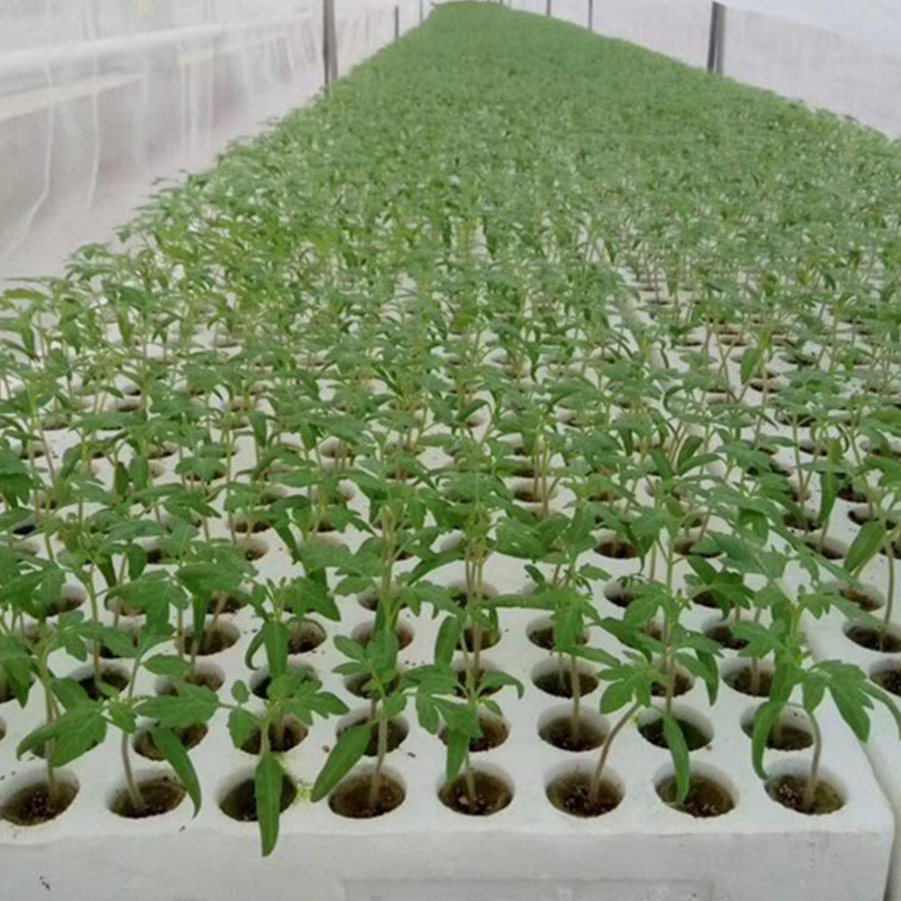 40개입, 토양 없이 작물 재배를 위한 수경 재배용 울 - Hydroponic Kit 리뷰 및 가격