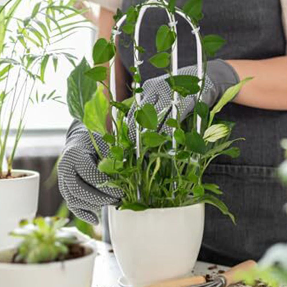 2pcs 아크릴 U 자형 식물 랙 세련된 식물 등반 프 - Indoor Herb Garden 리뷰 및 가격