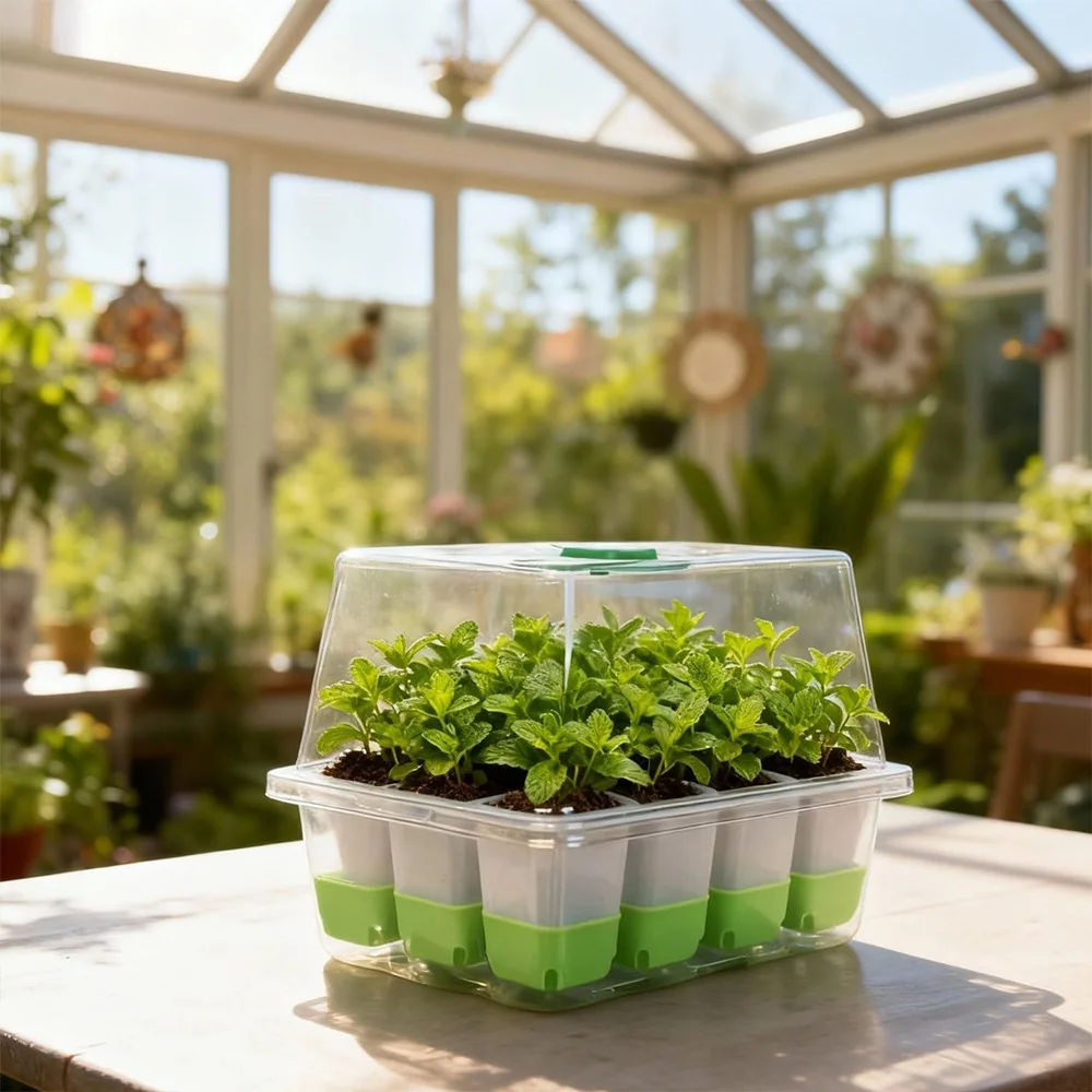 투명 덮개와 조절 가능한 습도 조절 기능이 있는 12구 - Seed Starter Tray 리뷰 및 가격