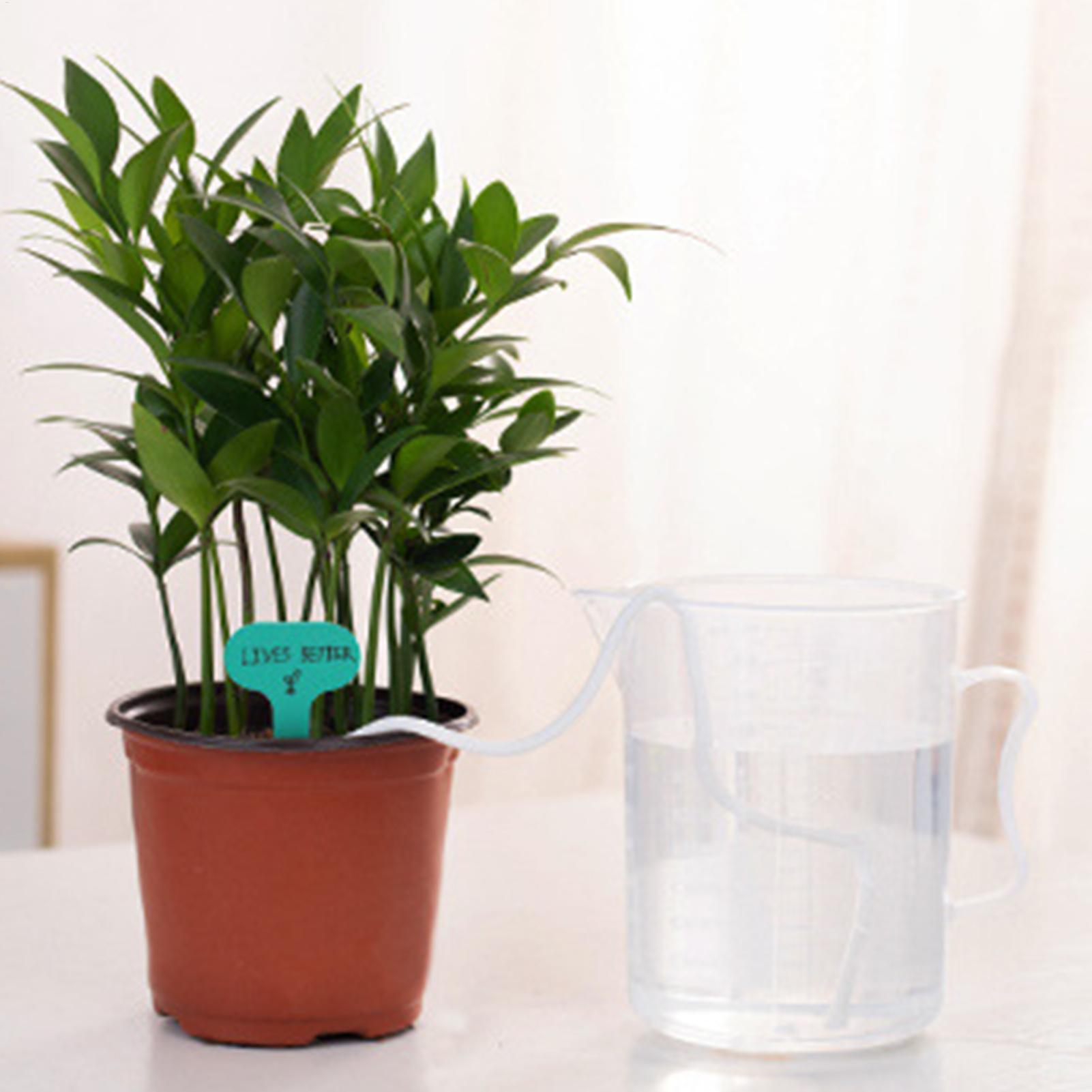 자가 급수용 식물 심지 2피스 자동 급수 로프 화분 모 - Self Watering Planter 리뷰 및 가격