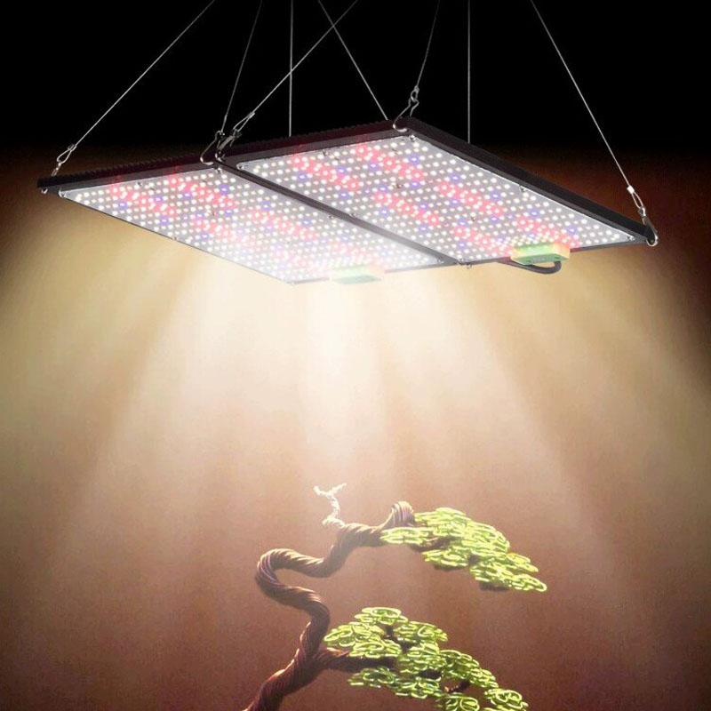 LED 퀀텀보드 식물 재배 조명, 실내 온실 채소 및  - Grow Light Led 리뷰 및 가격