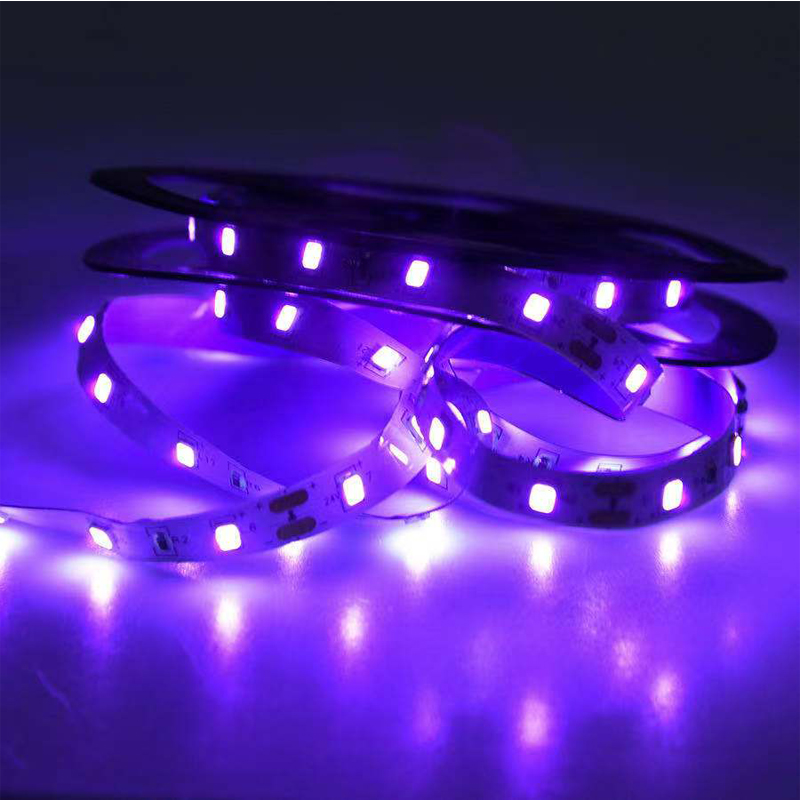UV LED 자외선, 블랙 UV 램프, SMD 5050 - Grow Light Led 리뷰 및 가격