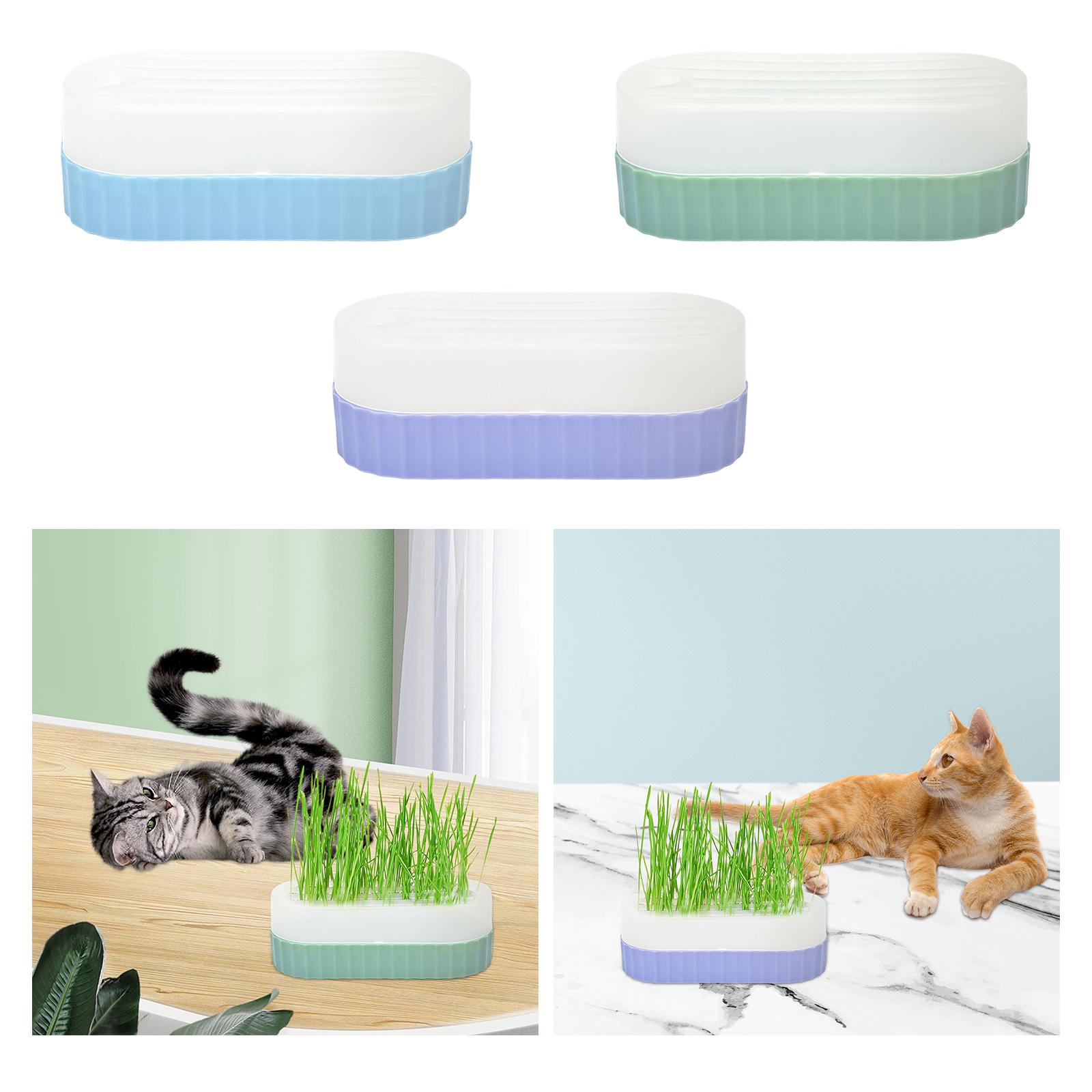 고양이 잔디 재배 키트용 배수 구멍이 있는 씨앗 발아  - Hydroponic Kit 리뷰 및 가격