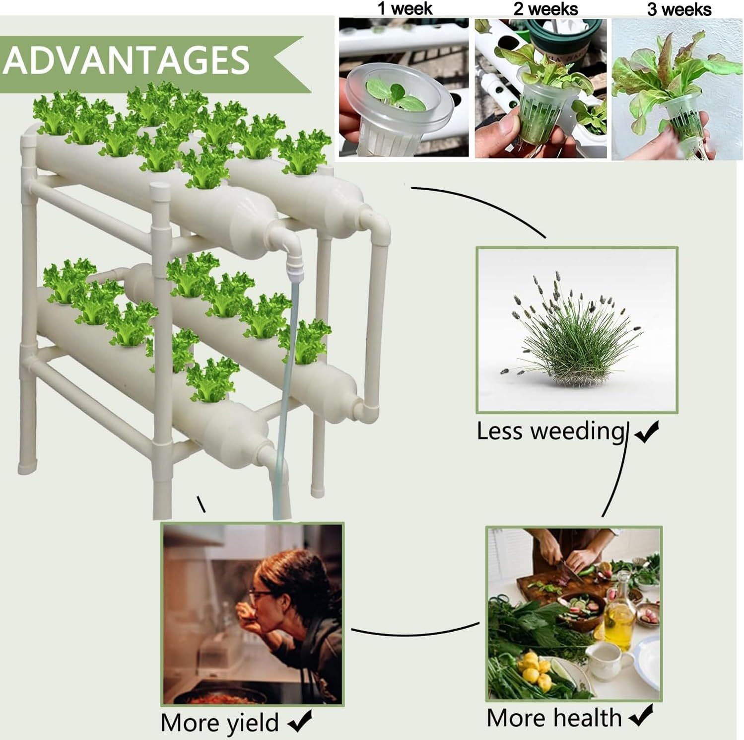 수경재배 시스템 20구멍 4파이프 2단 재배 키트 11 - Hydroponic Kit 리뷰 및 가격