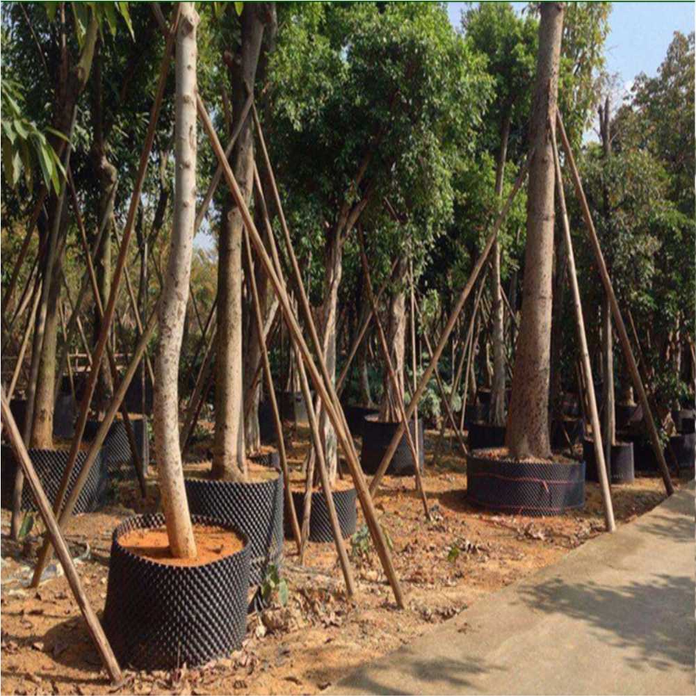 재배용 컨테이너 정원 나무 분재 이식 도구 빠른 묘목  - Plant Pot 리뷰 및 가격