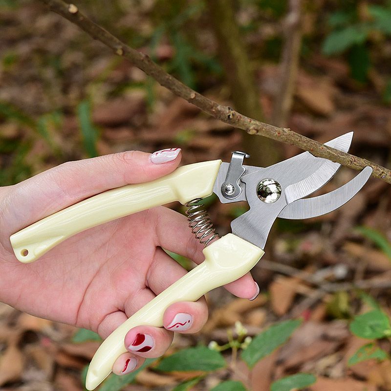 노동 절약형 정원용 가지치기 가위, 가지, 꽃 줄기 및 - Pruning Shears 리뷰 및 가격