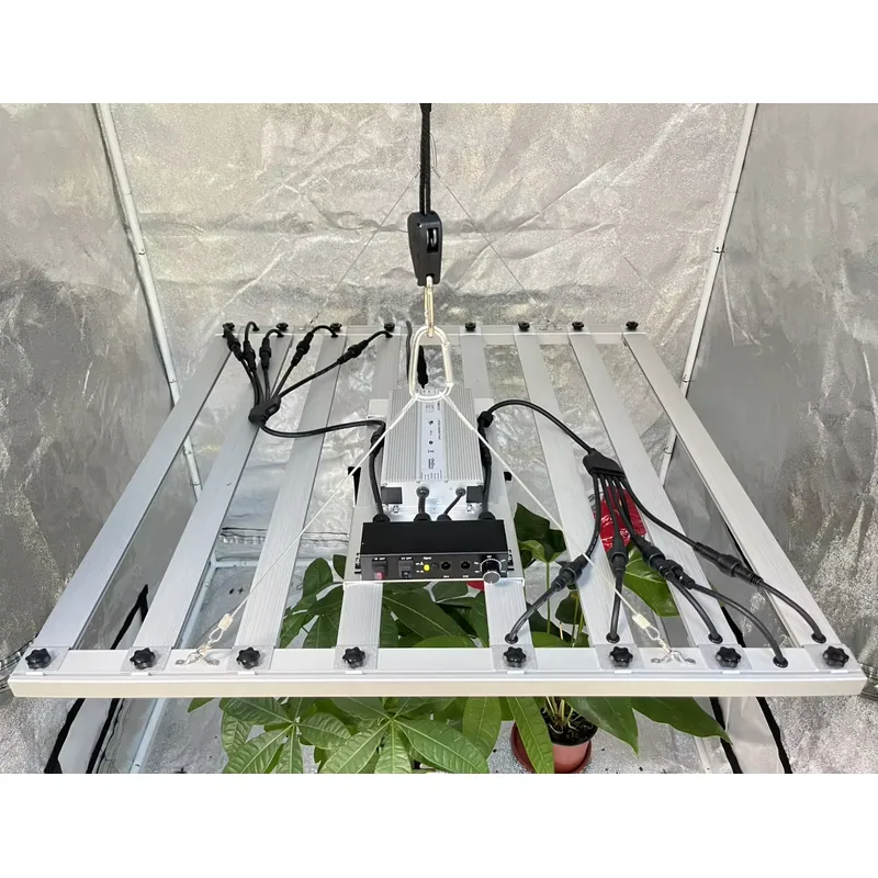 600W 성장등 드라이버 인벤트로닉스 0-10V EUD - Grow Light Led 리뷰 및 가격