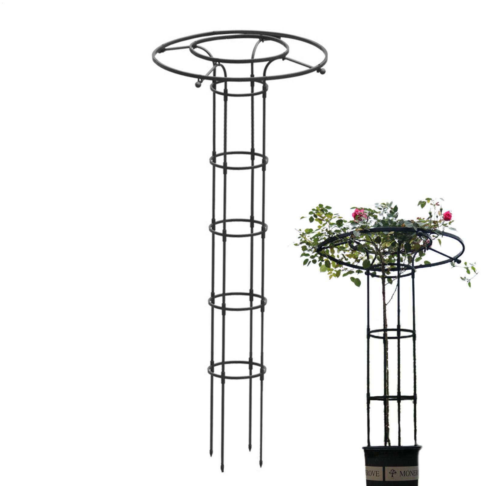 정원 트렐리스 우산형 타워 식물 지지대, 덩굴식물용 트 - Vertical Planter 리뷰 및 가격