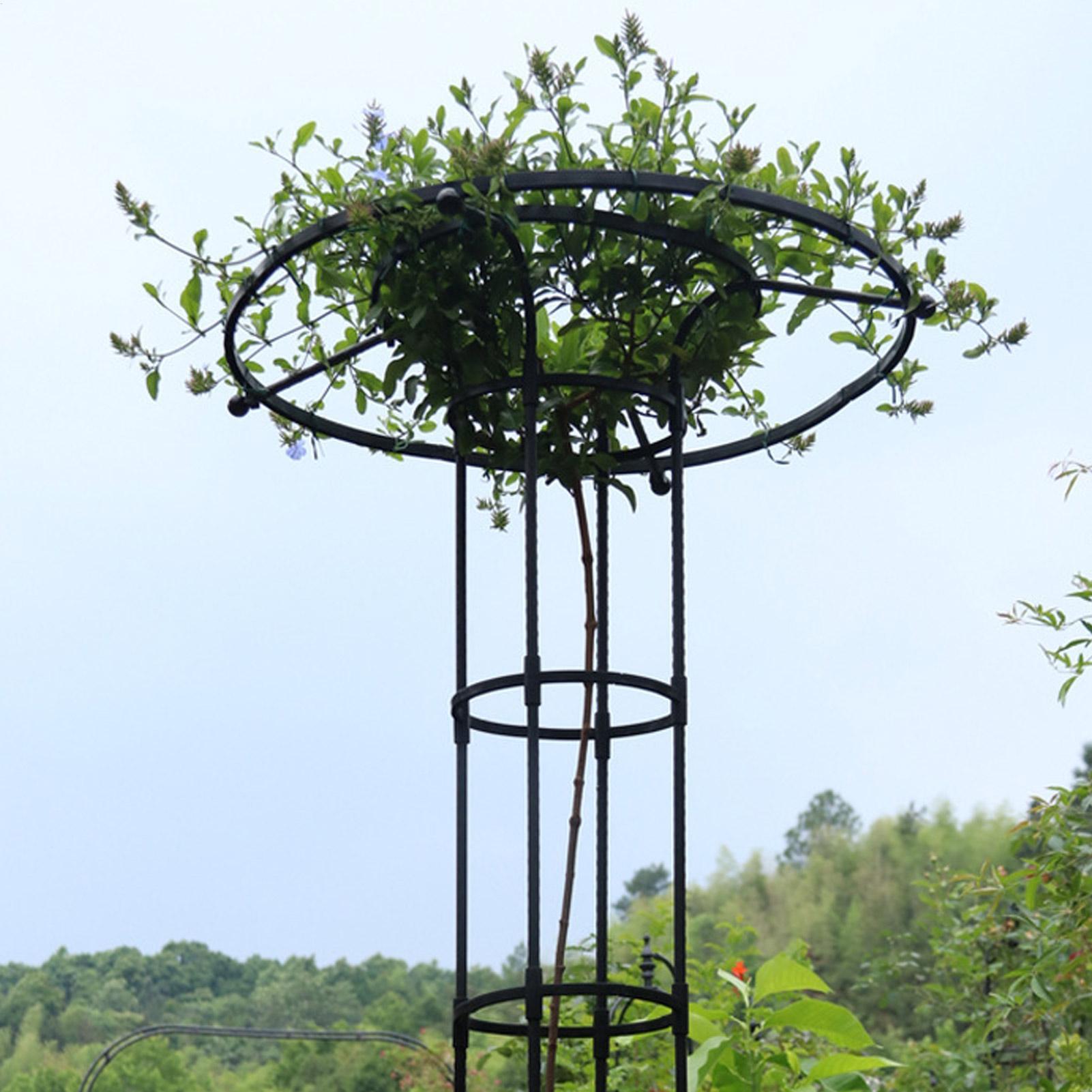 정원 트렐리스 우산형 타워 식물 지지대, 덩굴식물용 트 - Vertical Planter 리뷰 및 가격