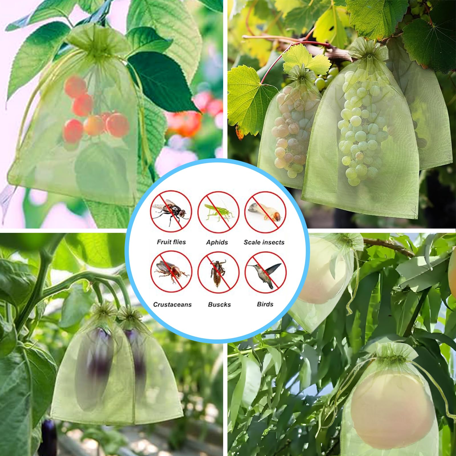 효과적인 조류 방지망 과일 보호 가방 식물 재배 커버  - Grow Bag 리뷰 및 가격