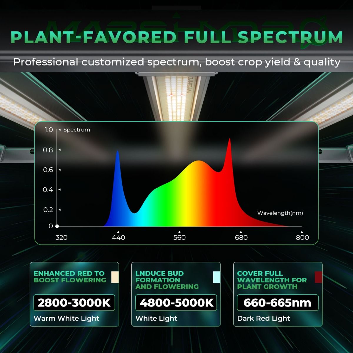 800W 마스 하이드로 FC-E8000 최고의 성장등  - Grow Light Led 리뷰 및 가격
