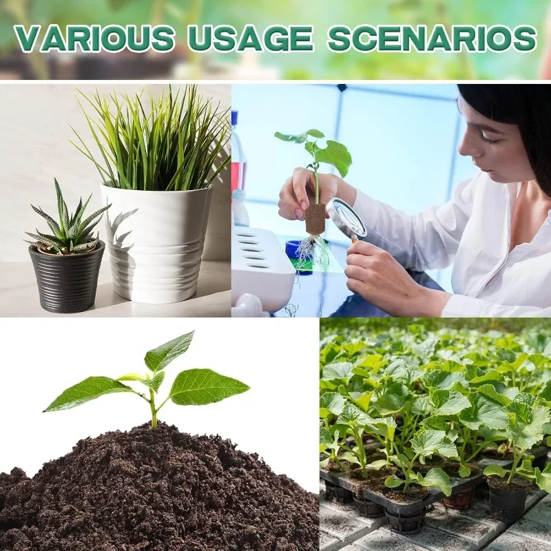 수경 실내 정원 시스템용 묘목 스타터 스펀지 키트, 성 - Hydroponic Kit 리뷰 및 가격