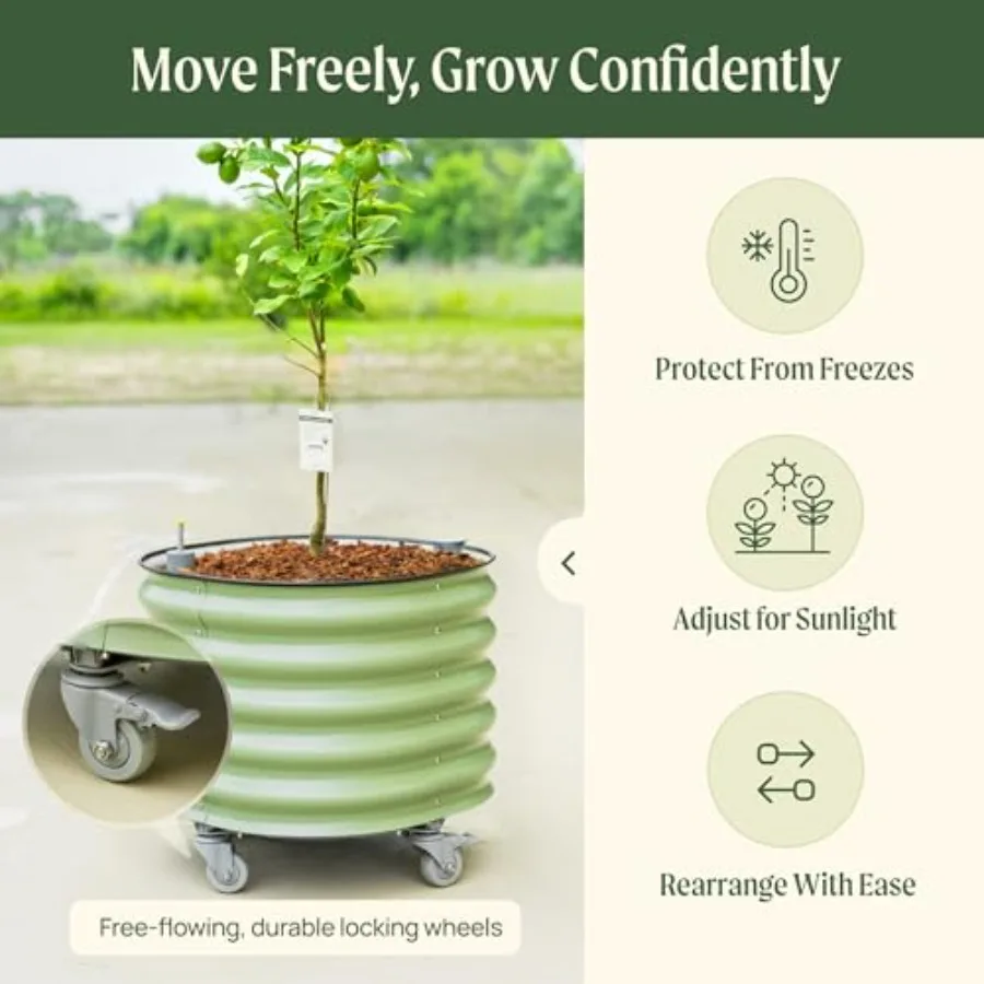 롤링 시트러스 나무 화분 3세대, 자동 급수 기능, 지 - Self Watering Planter 리뷰 및 가격