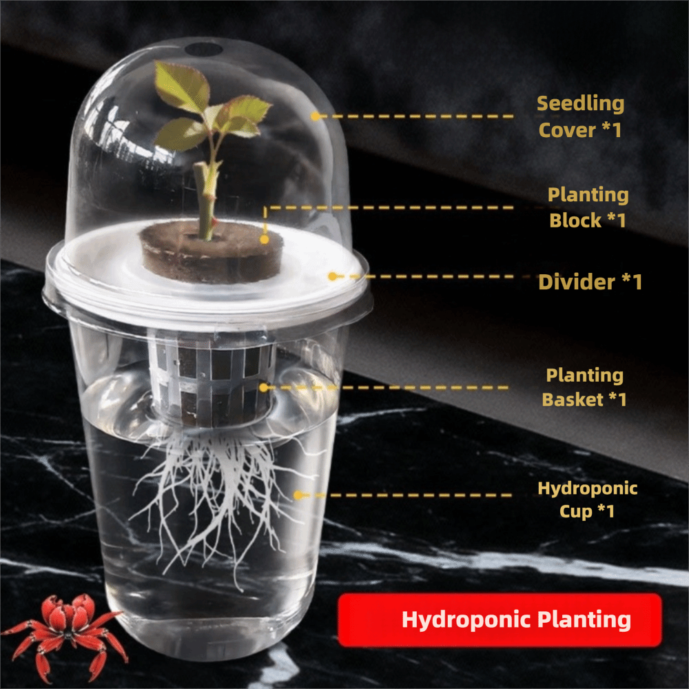 1-5개 투명 식물 발아컵 수경 재배 씨앗 화분 재사용 - Seed Starter Tray 리뷰 및 가격
