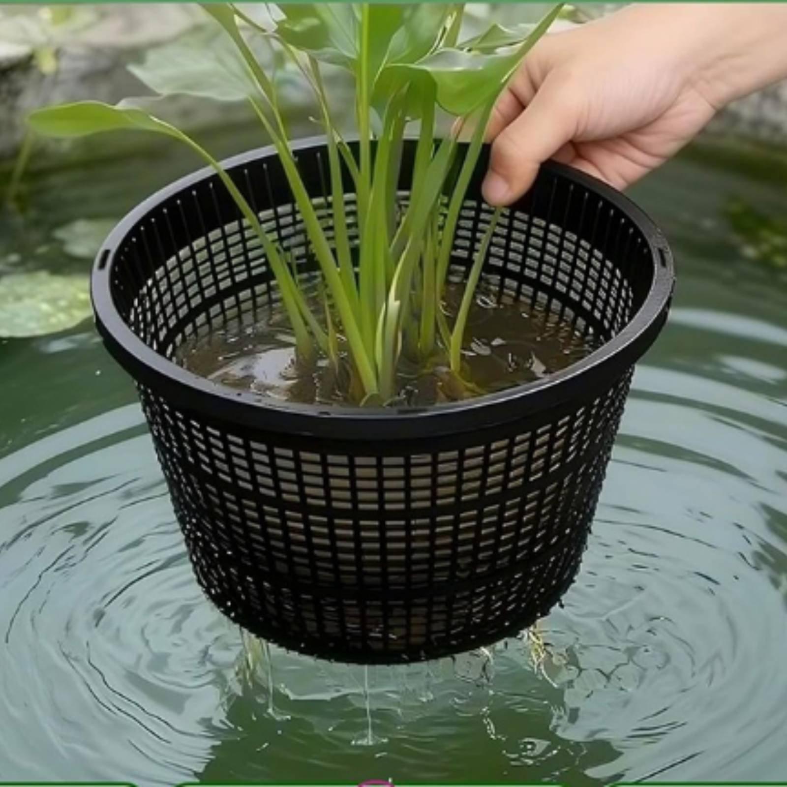 수경 재배용 넓은 테두리 메쉬 그물망 화분 플라스틱 식 - Plant Pot 리뷰 및 가격