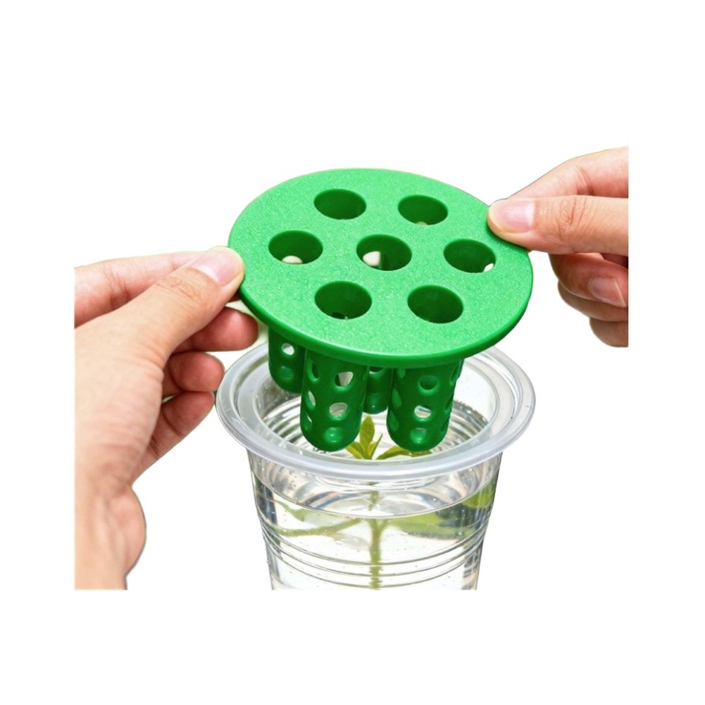 4개입 파 재배 키트: 창가용 파 재배 용기/재사용 가 - Hydroponic Kit 리뷰 및 가격