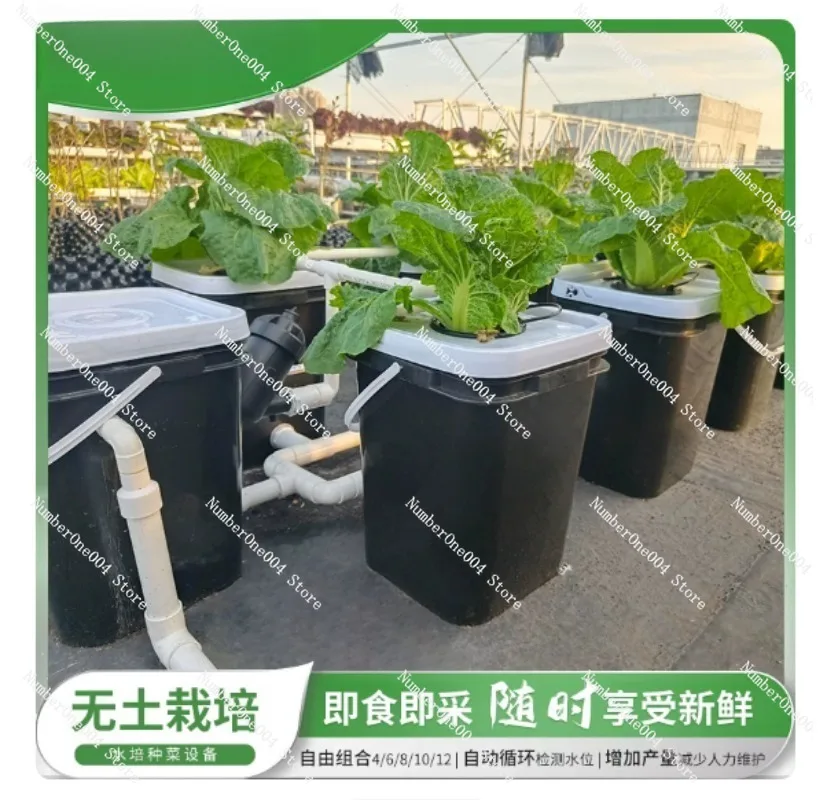 RDWC 가정용 발코니 수경재배 키트, 4+1 & 8+ - Hydroponic Kit 리뷰 및 가격