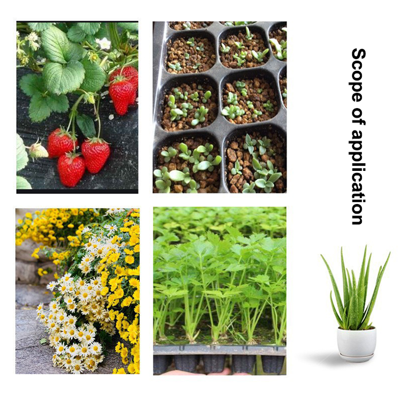 뜨거운 10Pcs 묘목 트레이 플라스틱 원예 발아 트레 - Seed Starter Tray 리뷰 및 가격