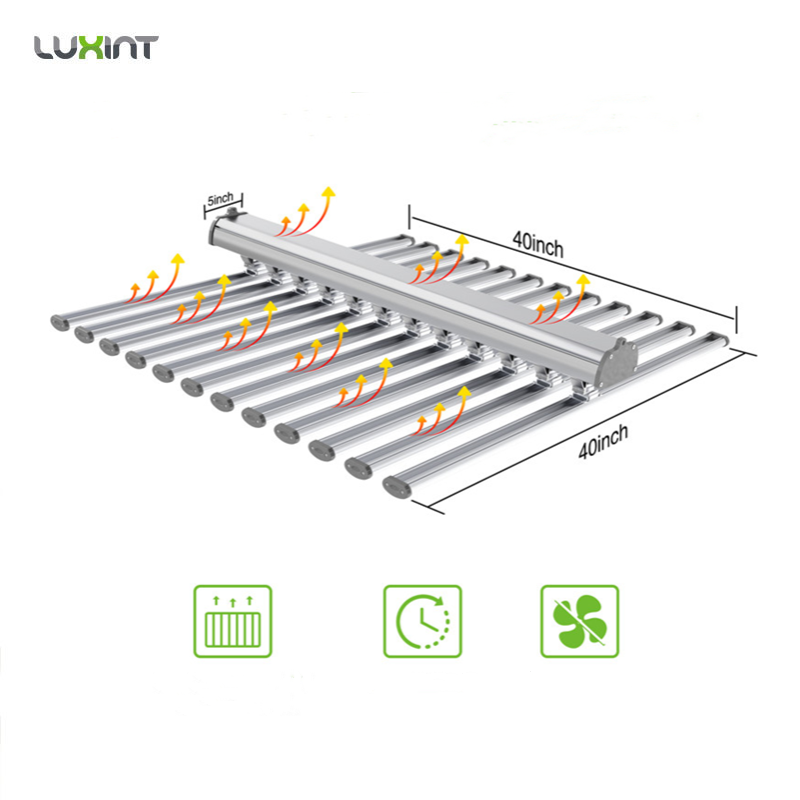 LUX 중국 공장 LED 식물 조명 12바 660w 1 - Grow Light Led 리뷰 및 가격