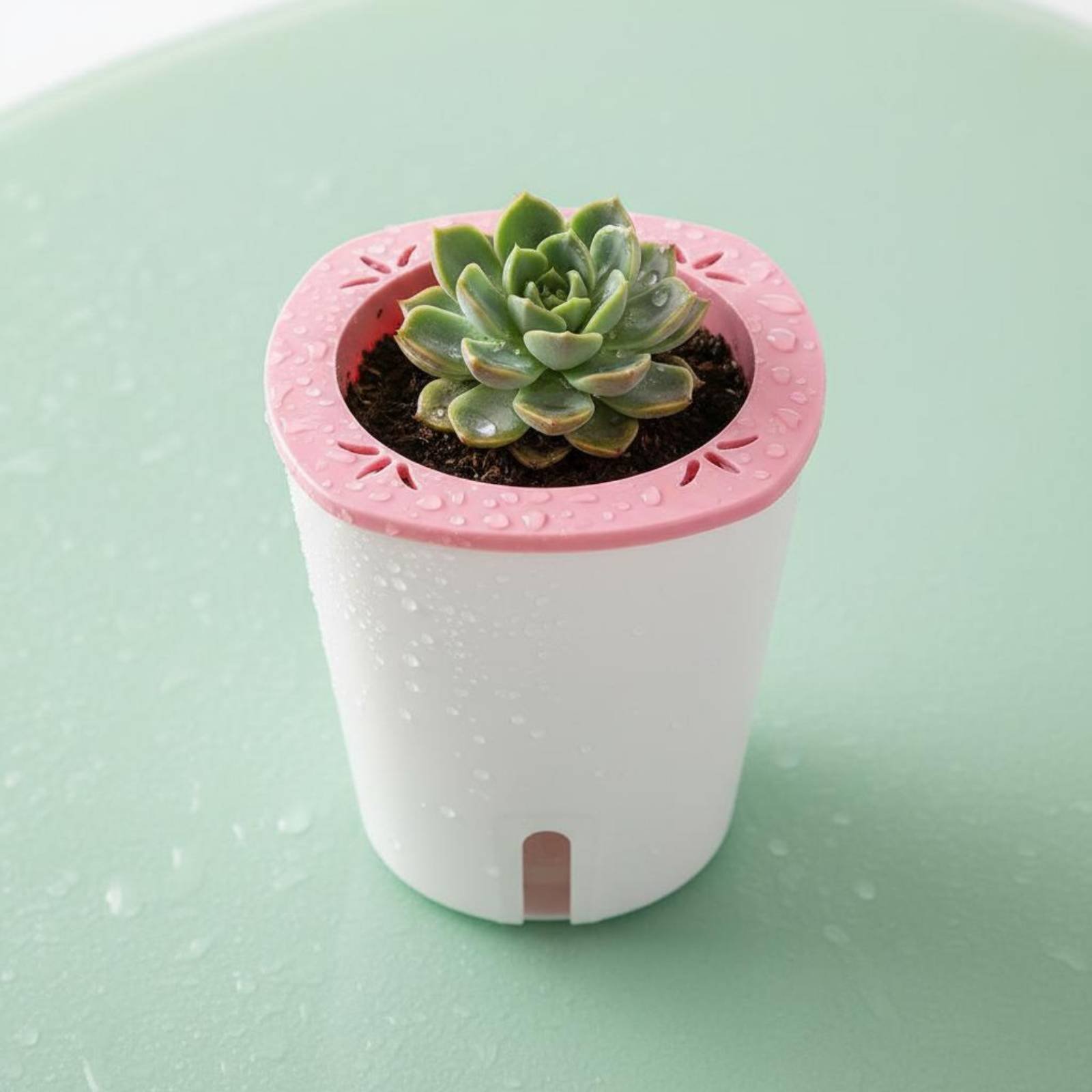 자동 급수 화분 대형 자동 급수 냄비 물 저장소 화분  - Self Watering Planter 리뷰 및 가격