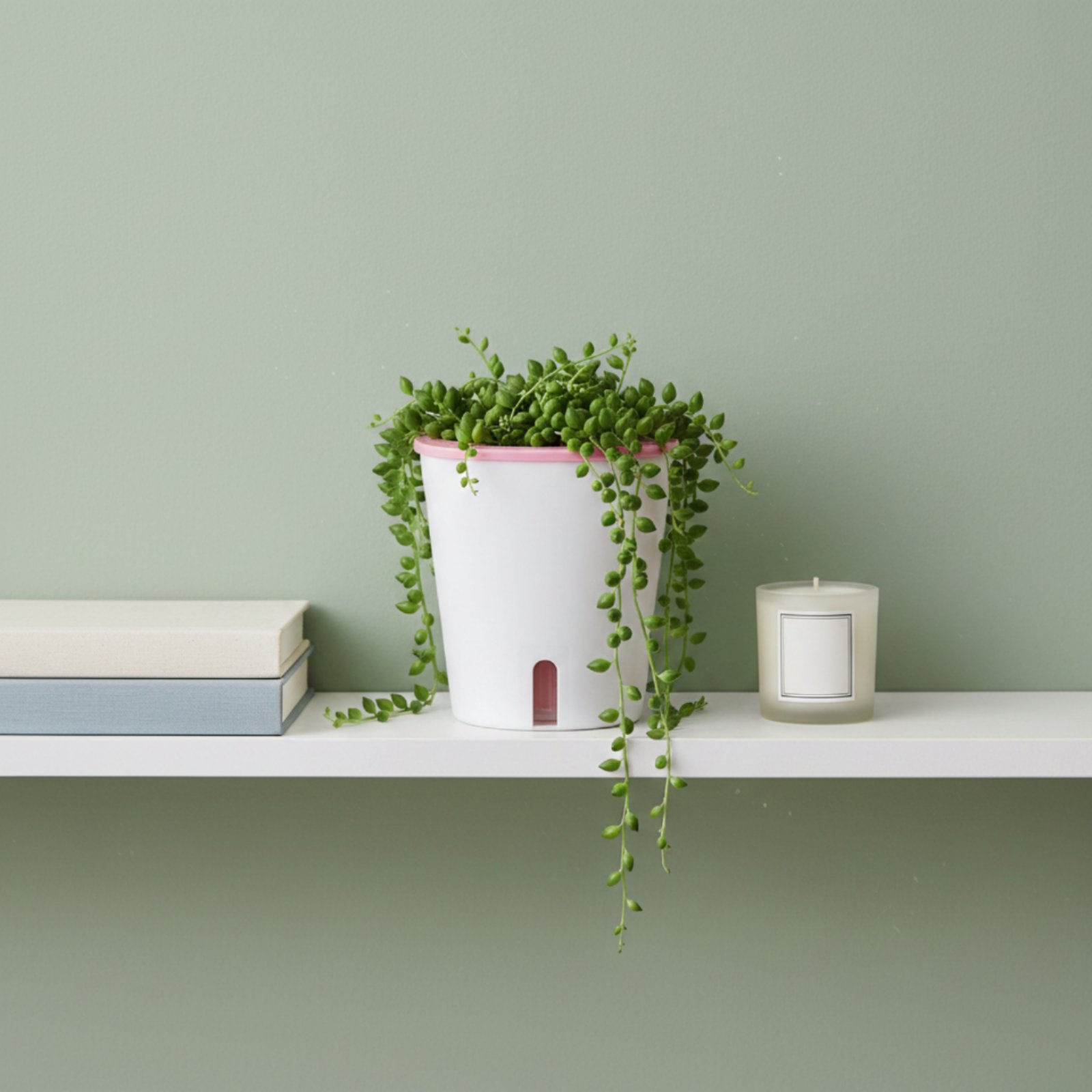 자동 급수 화분 대형 자동 급수 냄비 물 저장소 화분  - Self Watering Planter 리뷰 및 가격