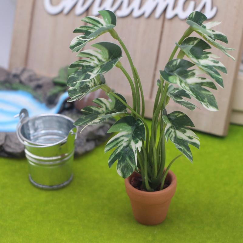 New.1PC 1/12 인형 집 시뮬레이션 몬스테라 녹 - Plant Pot 리뷰 및 가격