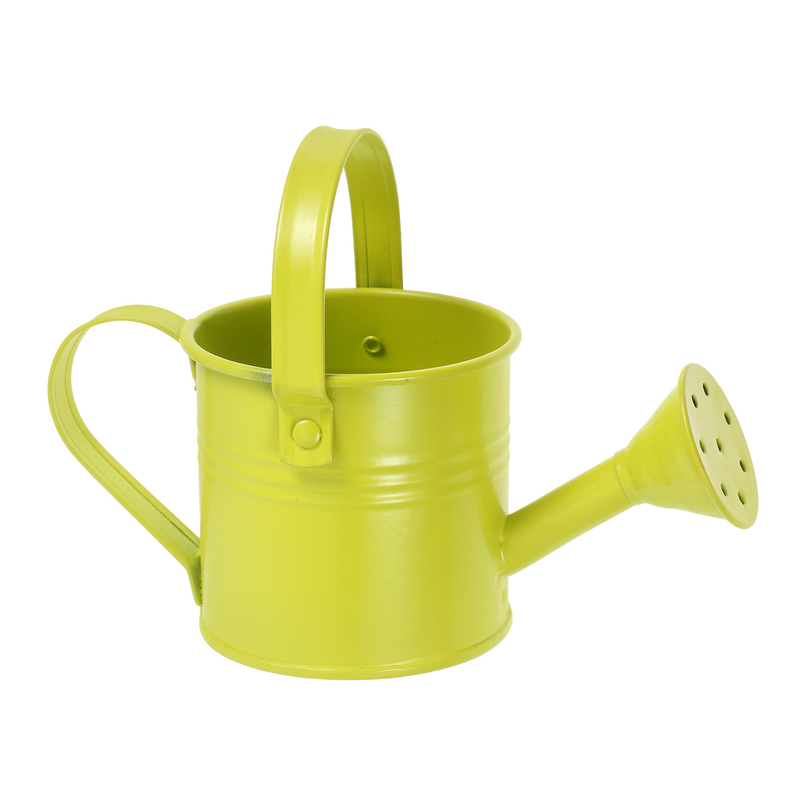 작은 크기의 아연 도금 물뿌리개, 실내 다육 식물, 책 - Watering Can 리뷰 및 가격