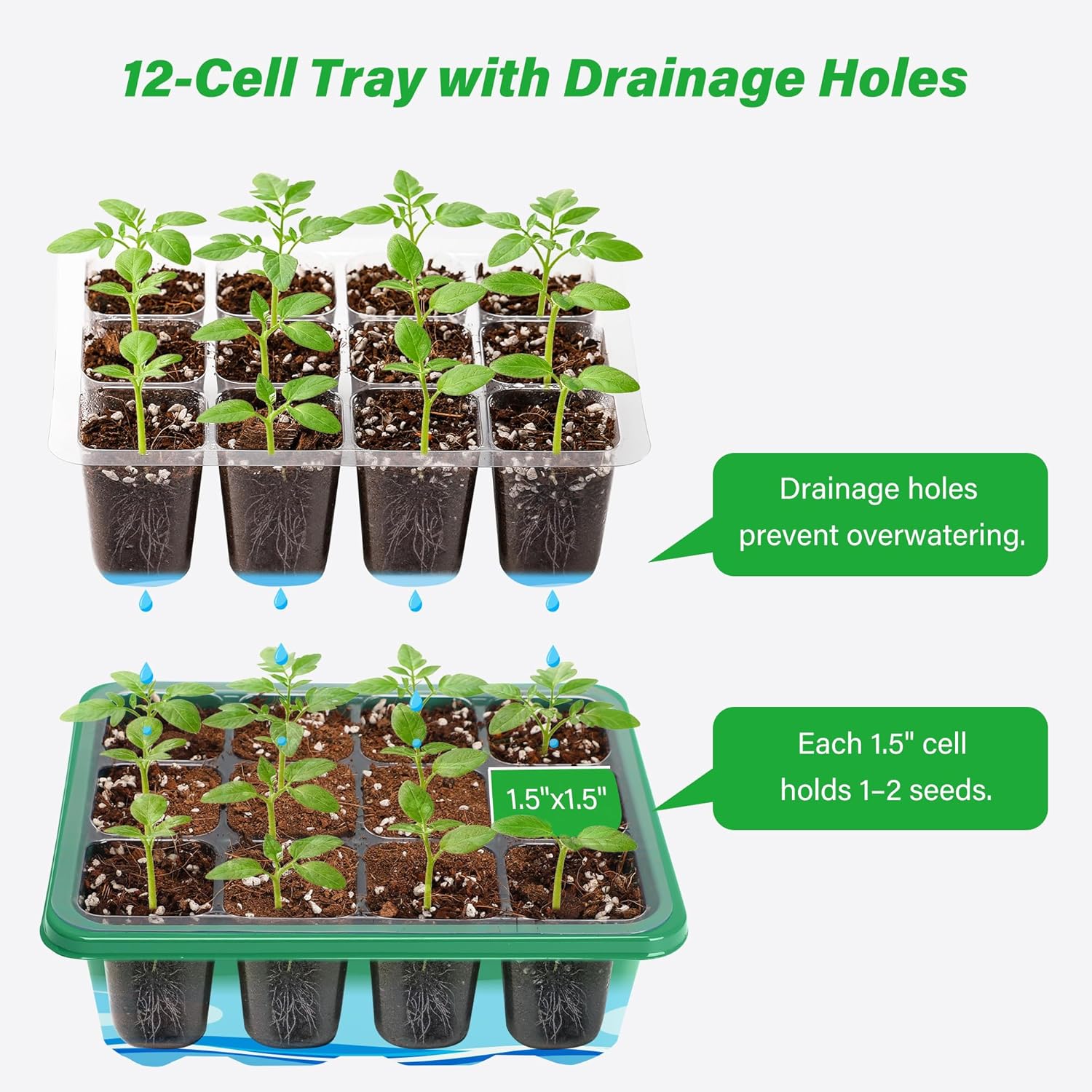 조절 가능한 습도 돔과 베이스가 있는 실내 온실 미니  - Seed Starter Tray 리뷰 및 가격